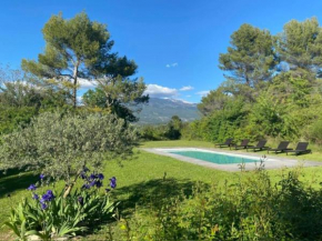 Mazet avec piscine, vue Ventoux